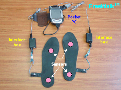 FreeWalk System components